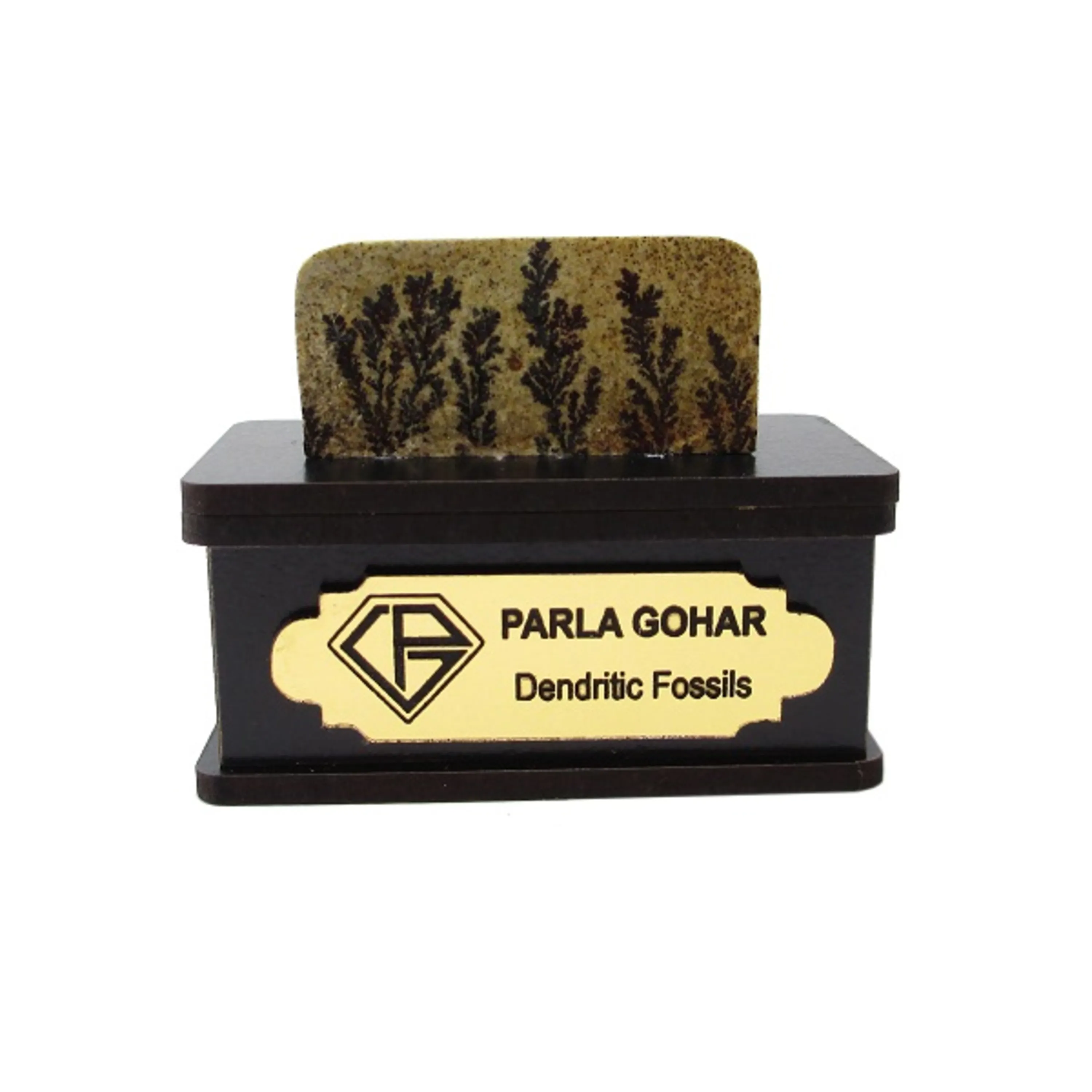 سنگ شجر فسیلی (دندریتی ) کد 2194